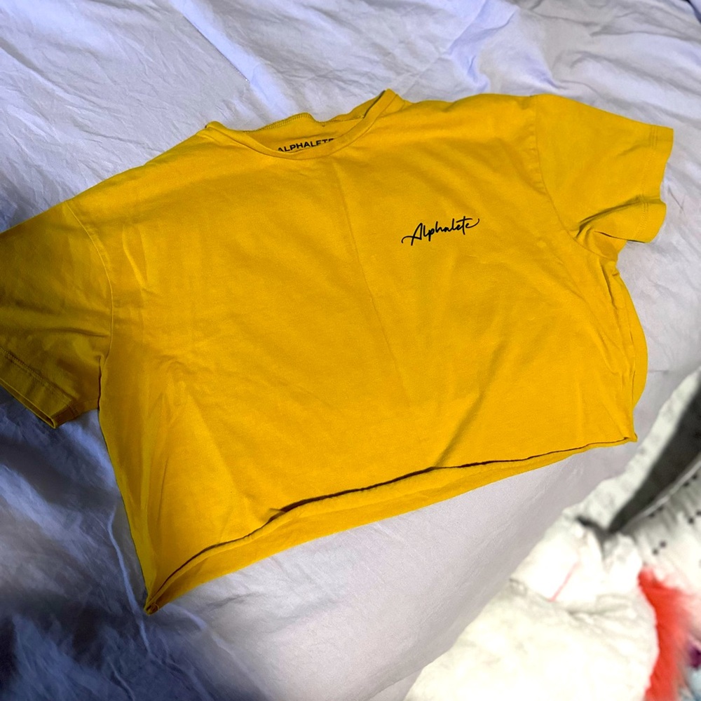 Alphalete Golden Hour Crop Top